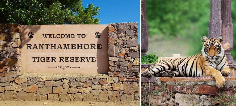 Ranthambore National Park Sawai Madhopur Rajasthan India Tour