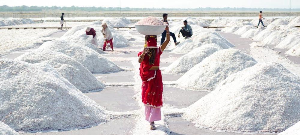 Sambhar Lake Salt