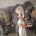 Jaipur Elephant Village Tour